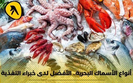 أنواع الأسماك البحرية .. الأفضل لدى الأطباء وخبراء التغذية