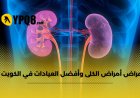 أعراض أمراض الكلى وأفضل العيادات في الكويت