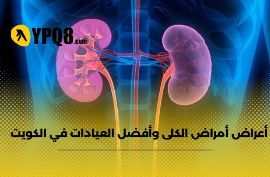 أعراض أمراض الكلى وأفضل العيادات في الكويت